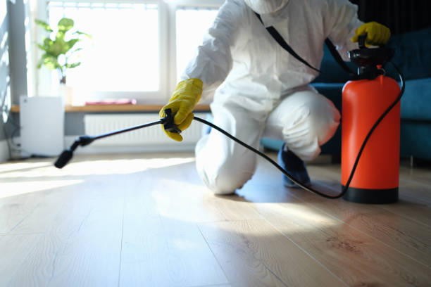 Reliable Odor Removal contractor in Meyersville, TX by Trauma Clean Pros
